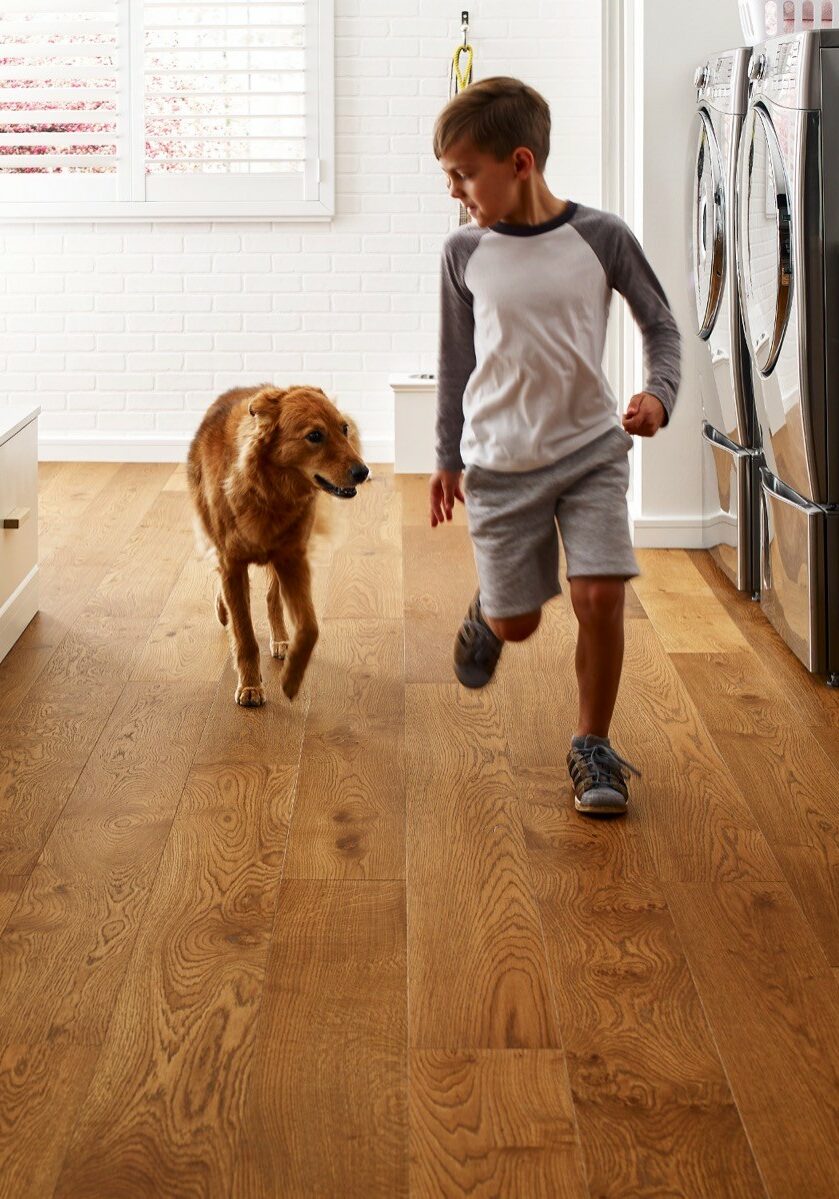Pet friendly floor | Floors & More Evanston